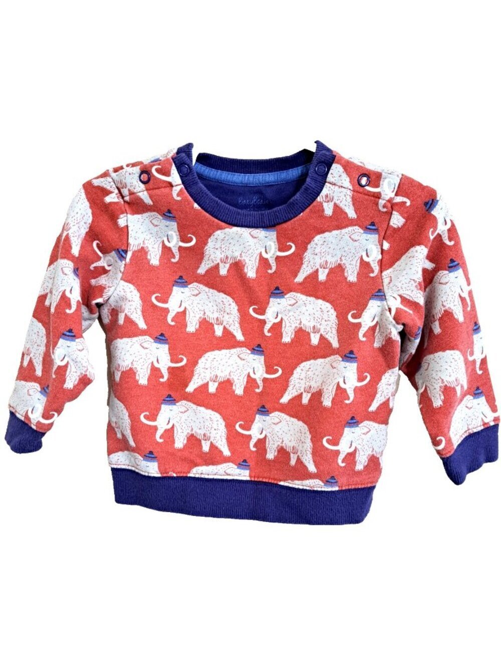 Baby Boden 6-12 Months Wooly Mamouth Snap Shoulder Sweatshirt